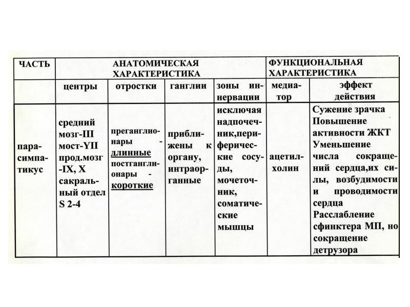 Характеристика образования. Характеристика на руководителя коллектива. Выборочные характеристики. Характеристика центра культуры. Организационная структура дк.
