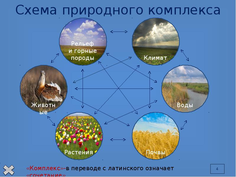 Природно территориальный комплекс презентация