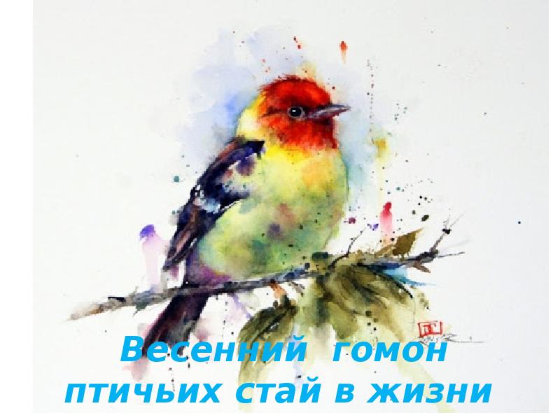 Весенний гомон птичьих стай рисунок - 89 фото
