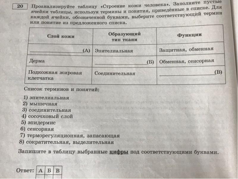 Проанализируйте таблицу заполните пустые ячейки таблицы. Проанализируйте таблицу заполните пустые ячейки. Заполните пустые ячейки таблицы ткани растений. Проанализируйте таблицу органические заполните пустые ячейки. Таблица образования мочи заполните пустые ячейки.