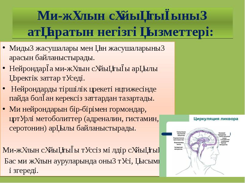 Ми-жұлын сұйықтығының атқаратын негізгі қызметтері:
Мидың жасушалары мен қан жасушаларының Ми-жұлын сұйықтығының атқаратын негізгі қызметтері:
Мидың жасушалары мен қан жасушаларының