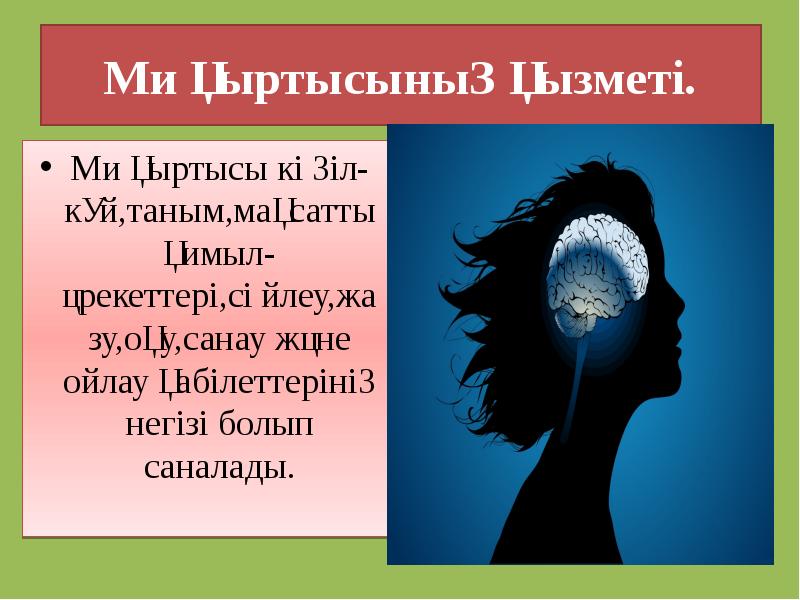 Ми қыртысының қызметі.
Ми қыртысы көңіл-күй,таным,мақсатты қимыл-әрекеттері,сөйлеу,жазу,оқу,санау және ойлау қабілеттерінің негізі Ми қыртысының қызметі.
Ми қыртысы көңіл-күй,таным,мақсатты қимыл-әрекеттері,сөйлеу,жазу,оқу,санау және ойлау қабілеттерінің негізі