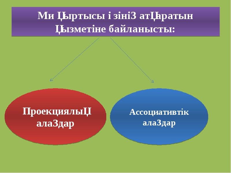 Ми қыртысы өзінің атқаратын қызметіне байланысты: Ми қыртысы өзінің атқаратын қызметіне байланысты: