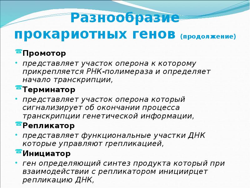 С чего начинается ген. Промотор функции. Промотор в биологии это. Промотор функции биология. Ген промотор.