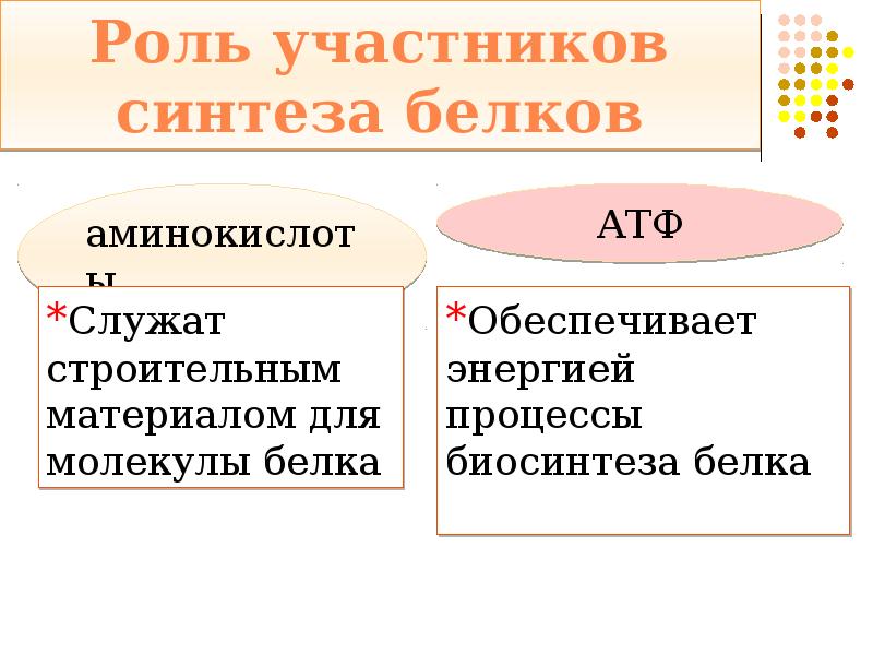 Синтез белков из аминокислот