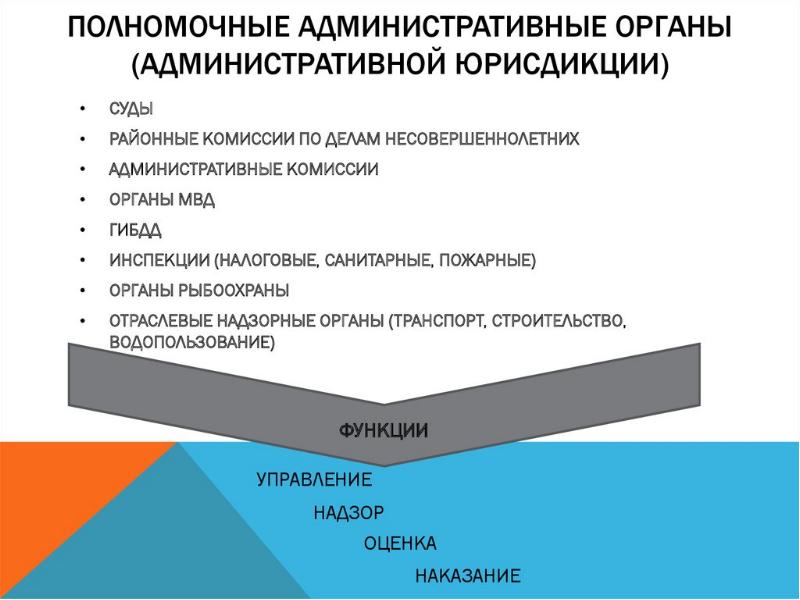 План правонарушение егэ обществознание