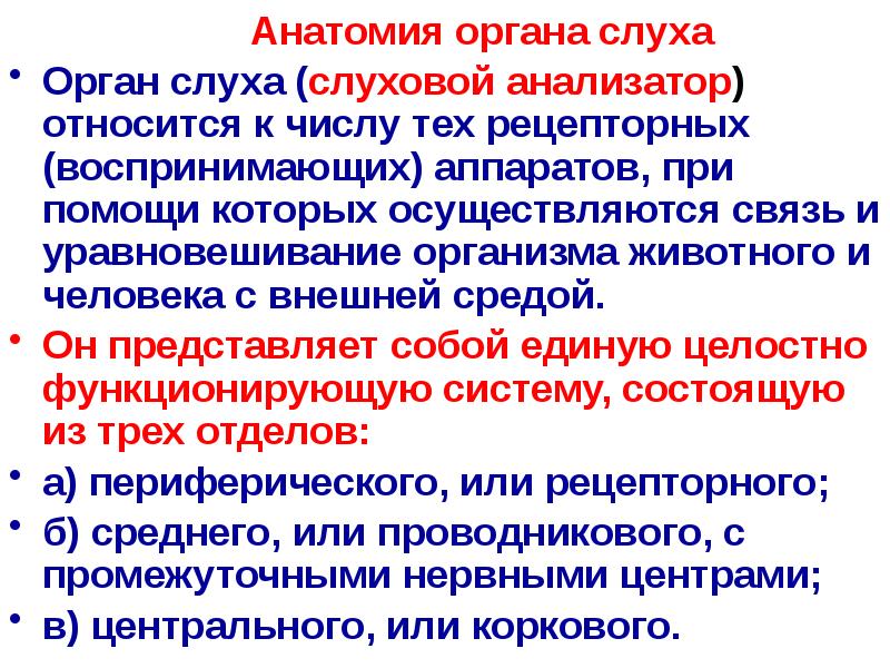 Значение слуха. Учение Павлова об анализаторах слуховой анализатор человека. Слух физиология потребности что написать. К наружным анализаторам относятся тест. К хемочувствительным анализаторам относятся.