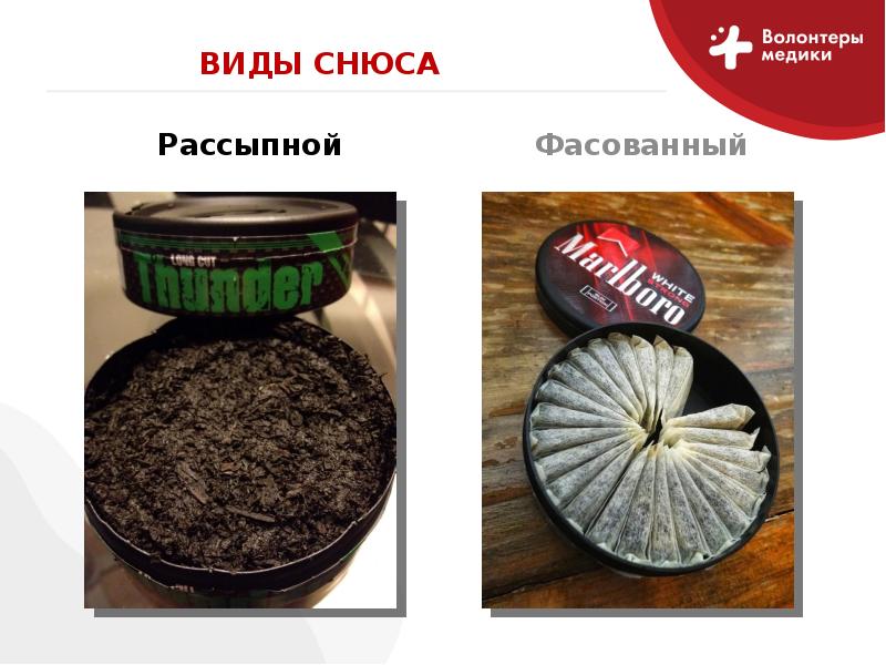 Виды снюса