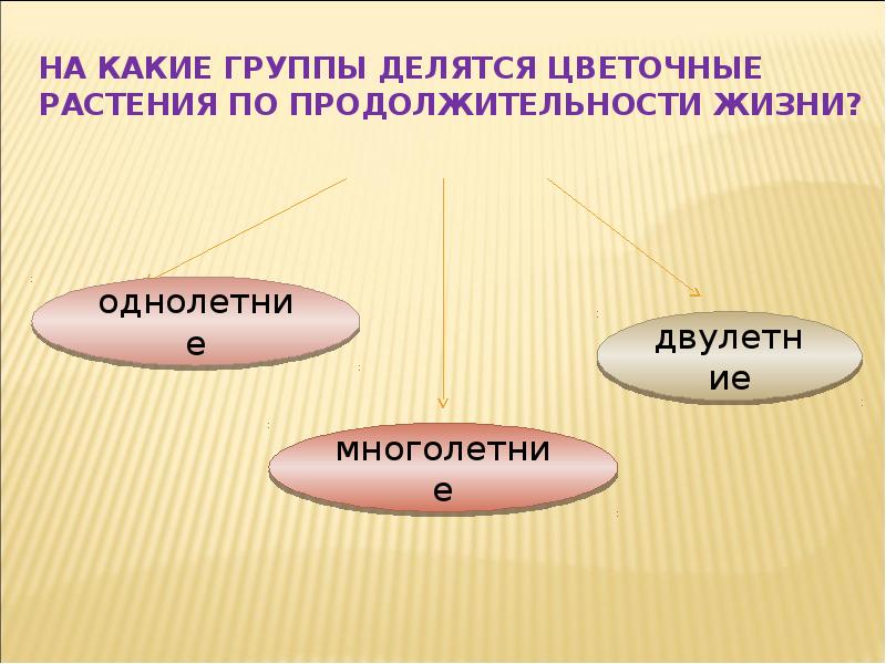 Группы делятся на. На какие группы делятся растения. Цветочные растения делятся на группы. По продолжительности жизни растения делят на группы. На какие группы делятся по.