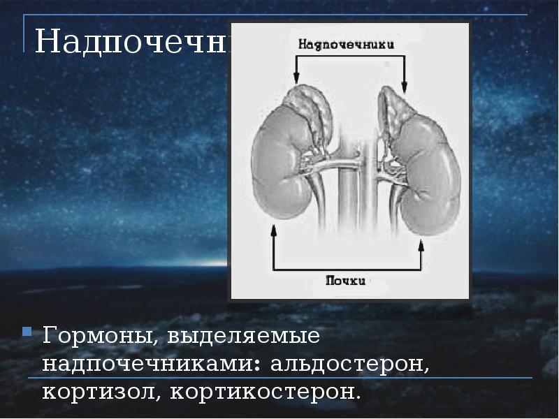 Надпочечники у детей дисфункция. Дисфункция надпочечников. Кортизол и альдостерон. Врожденная дисфункция коры надпочечников у детей. Схема стероидогенеза в надпочечниках.