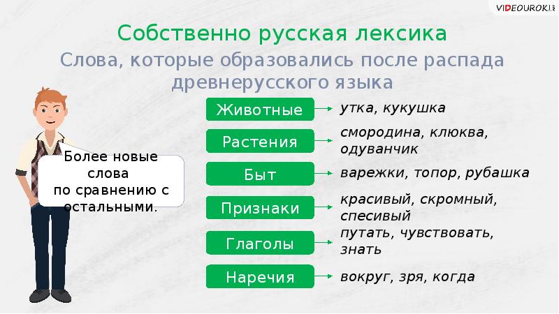 Презентация на тему лексика 6 класс