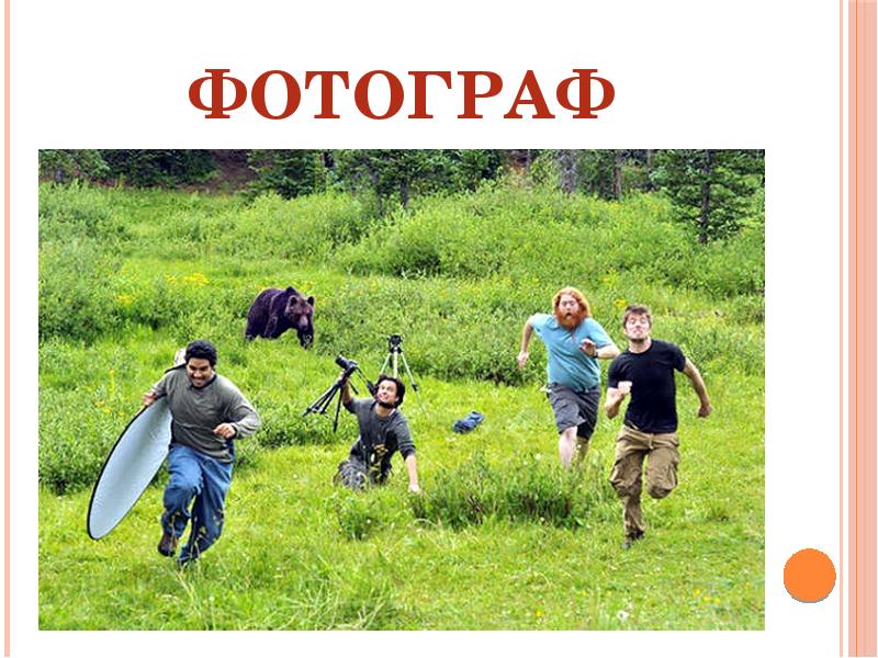 Испуги людей и животных. Смешные розыгрыши над людьми. Смешные испуги людей и животных. Испуги людей и животных. Мемы с испуганной собакой.