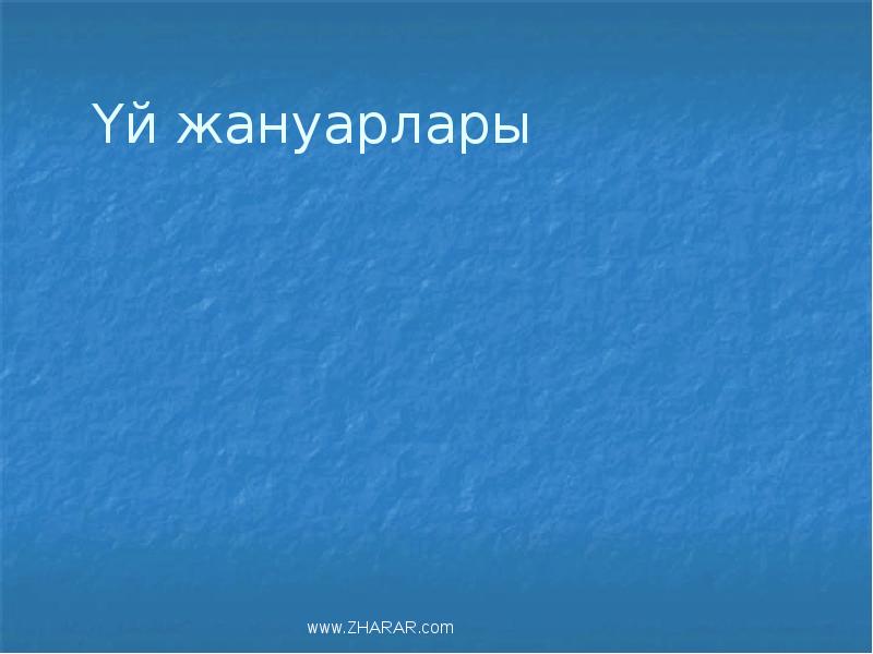 Үй жануарлары Үй жануарлары