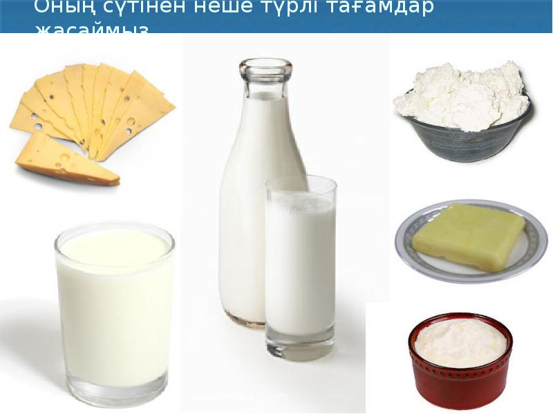 Оның сүтінен неше түрлі тағамдар жасаймыз Оның сүтінен неше түрлі тағамдар жасаймыз