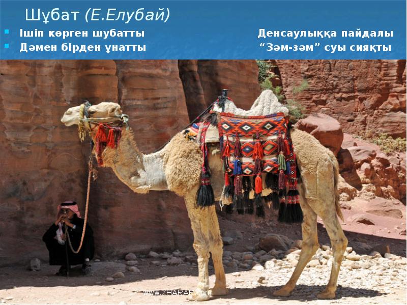 Шұбат (Е.Елубай)
Ішіп көрген шубатты Шұбат (Е.Елубай)
Ішіп көрген шубатты