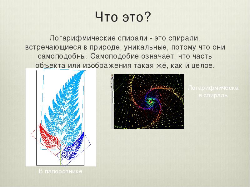 Логарифмическая спираль презентация