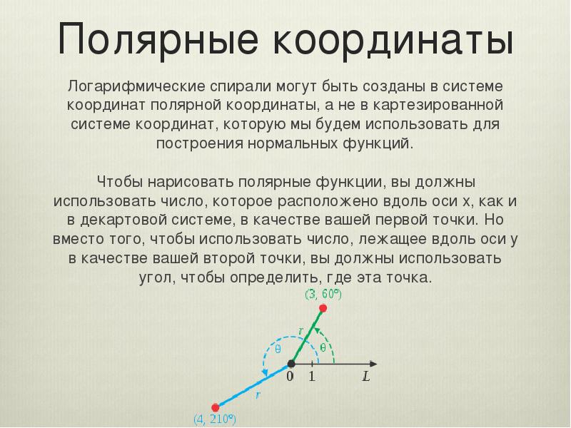 Логарифмическая спираль проект