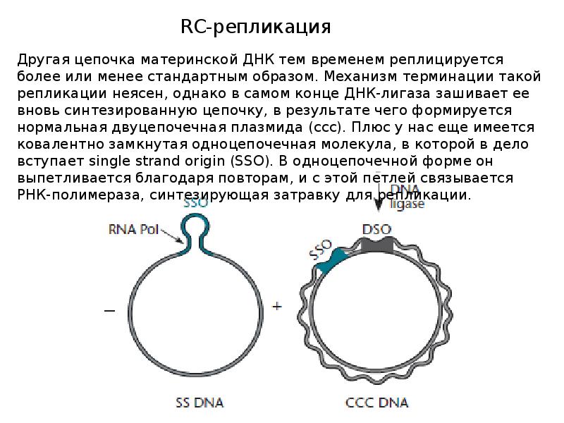 Отличительные признаки проекта