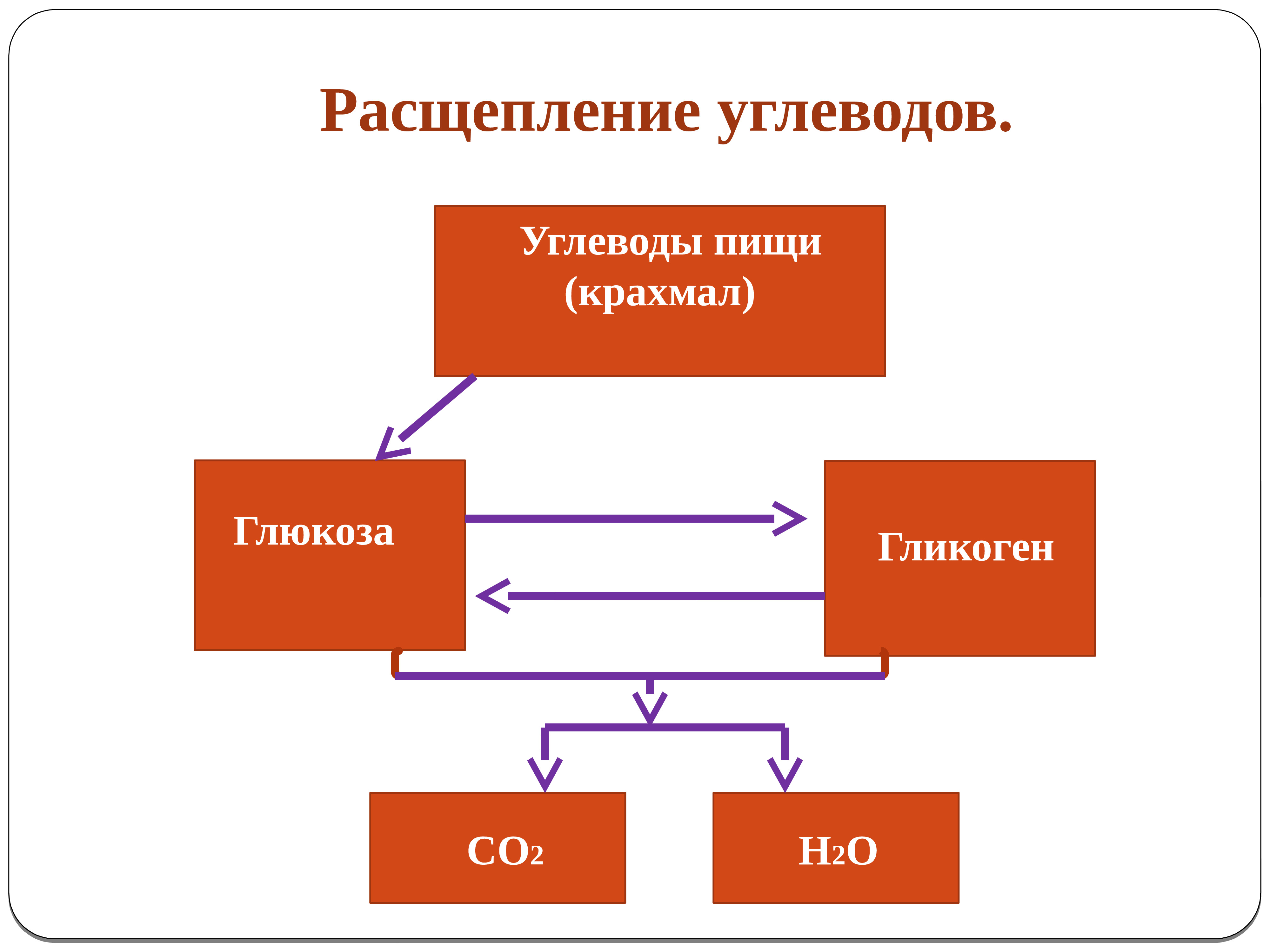 Продукты распада белка. Схема расщепления углеводов в организме человека. Расщепление сложных углеводов. Сложные углеводы расщепляются на. Схема процесса расщепления углеводов.