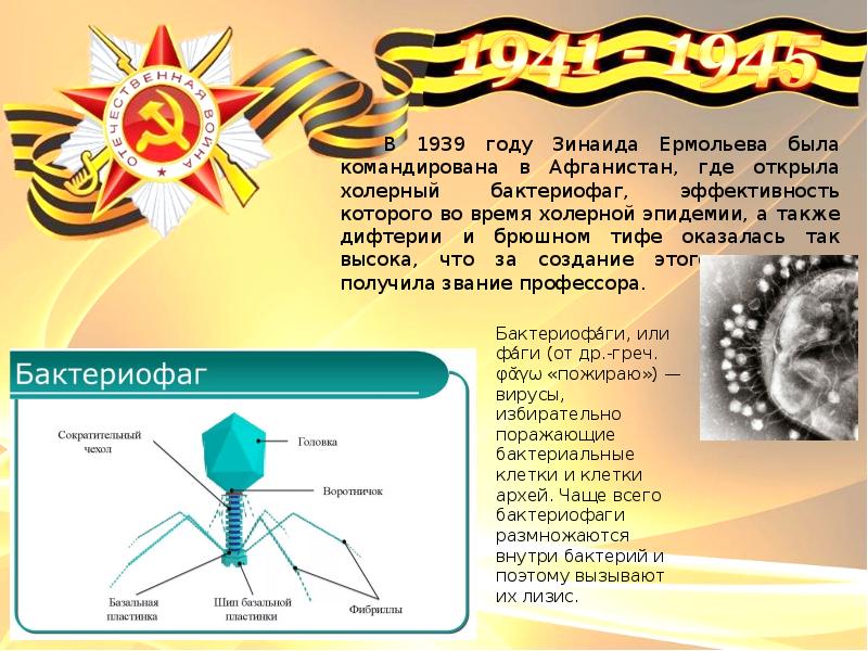 Зинаида ермольева презентация