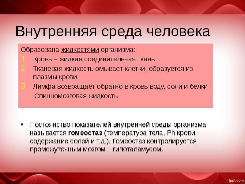 Внутренняя среда организма образована кровью тканевой жидкостью