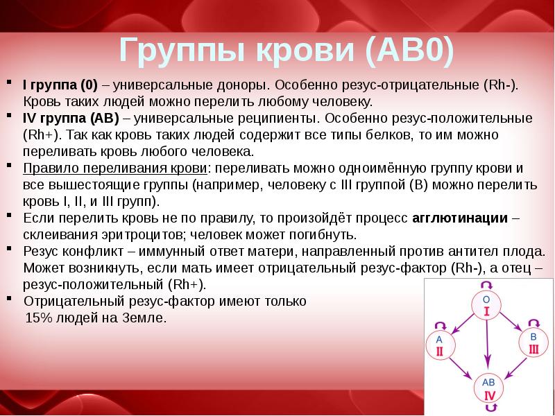 Группы крови проект