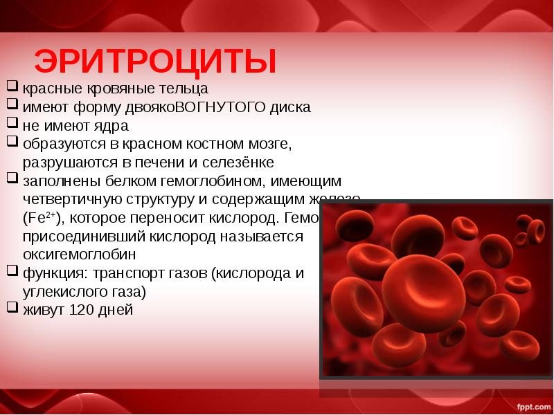 Эритроциты 5 5 у мужчин. Эритроциты в крови. Эритроциты 6. Презентация на тему кровь человека. Эритроциты 6,1.