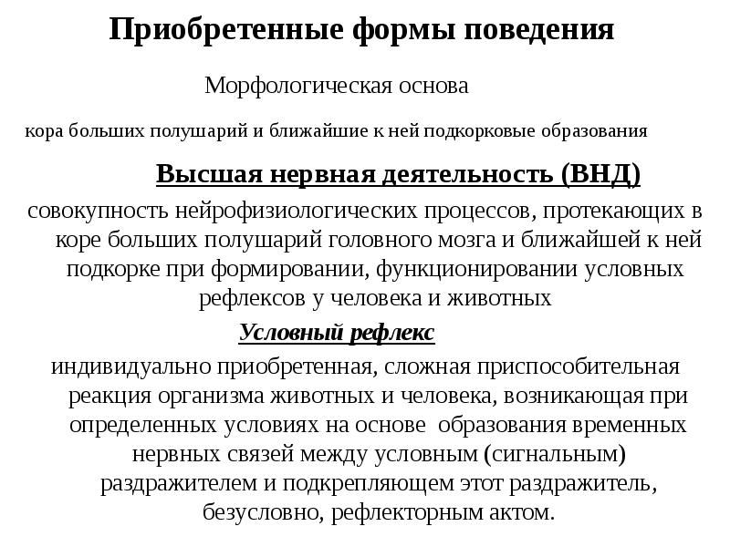 Врожденные формы поведения схема