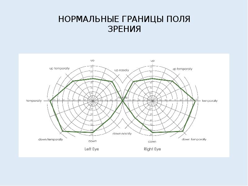 Поле зрения белого цвета