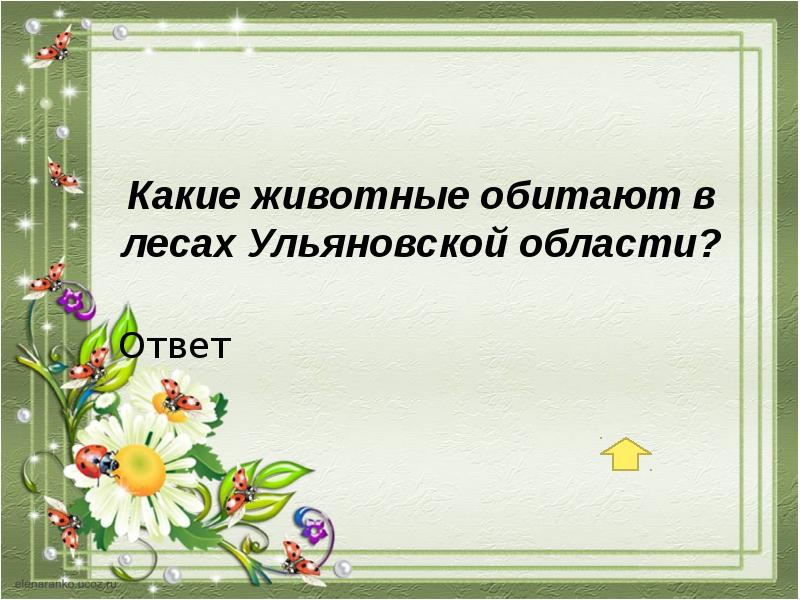 Область ответить. Викторина по Архангельской области с ответами.