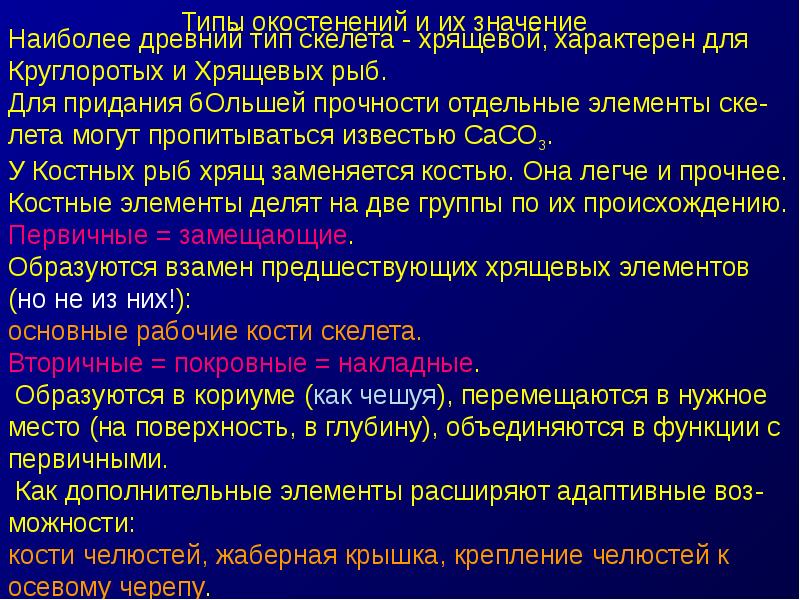 Функции нервной трубки. Подтип Черепные.