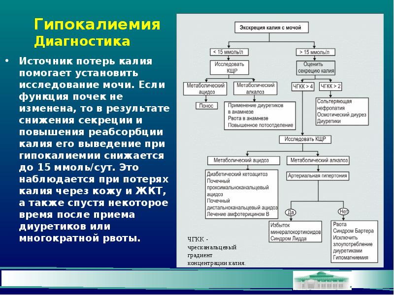 Гипокалиемия клиническая картина