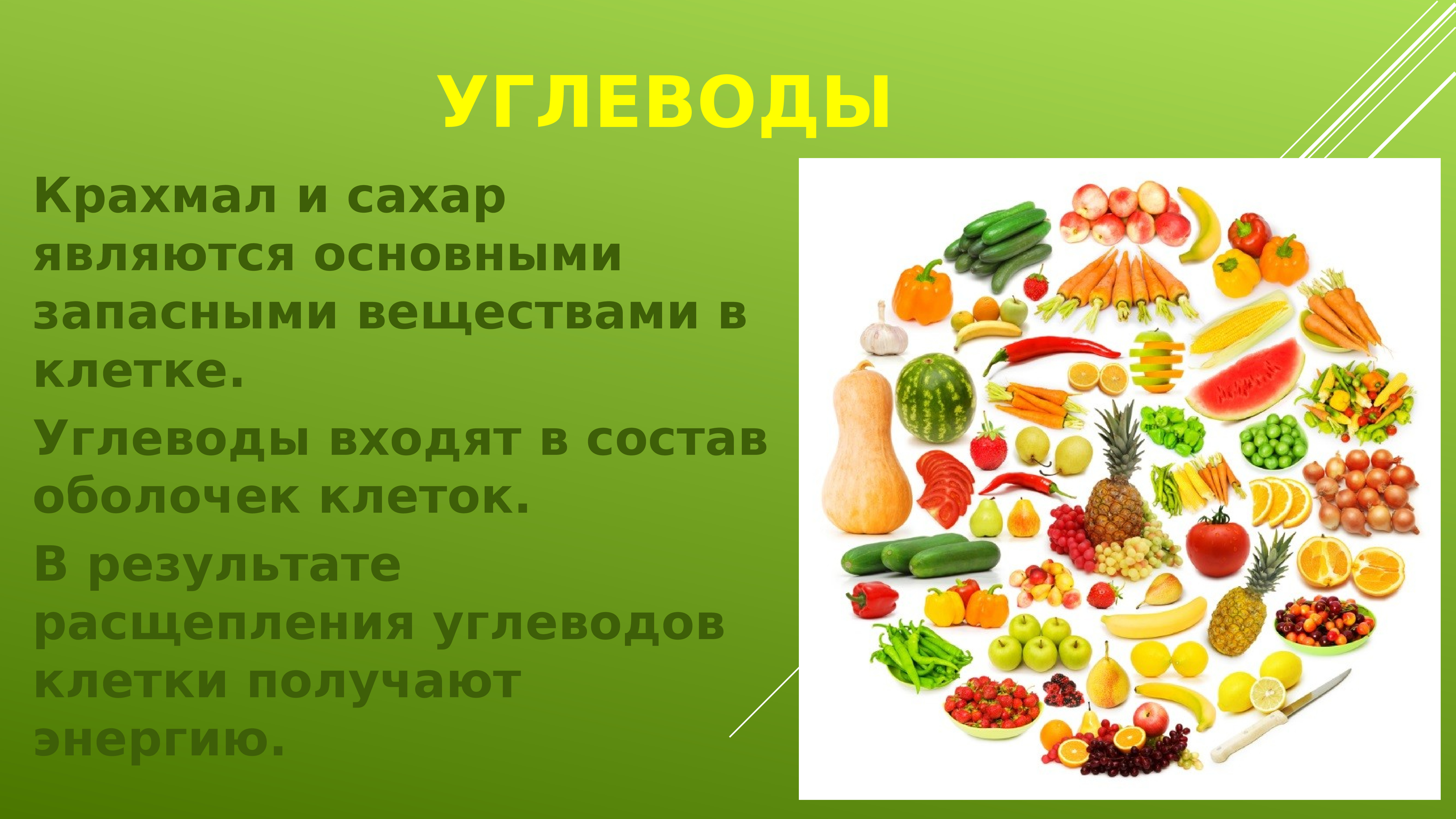 Основное запасное вещество животных. Углеводы в клетке. Запасными веществами клетки являются. Углеводами в клетке являются. Крахмал это углевод.