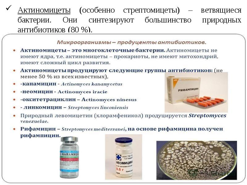 Производственные питательные среды в биотехнологической схеме получения лекарственных препаратов