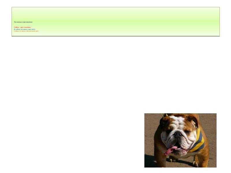 Пословицы к произведению:    Собака – друг человека. И