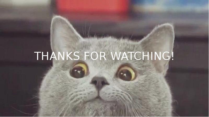 Thanks for watching! Thanks for watching!