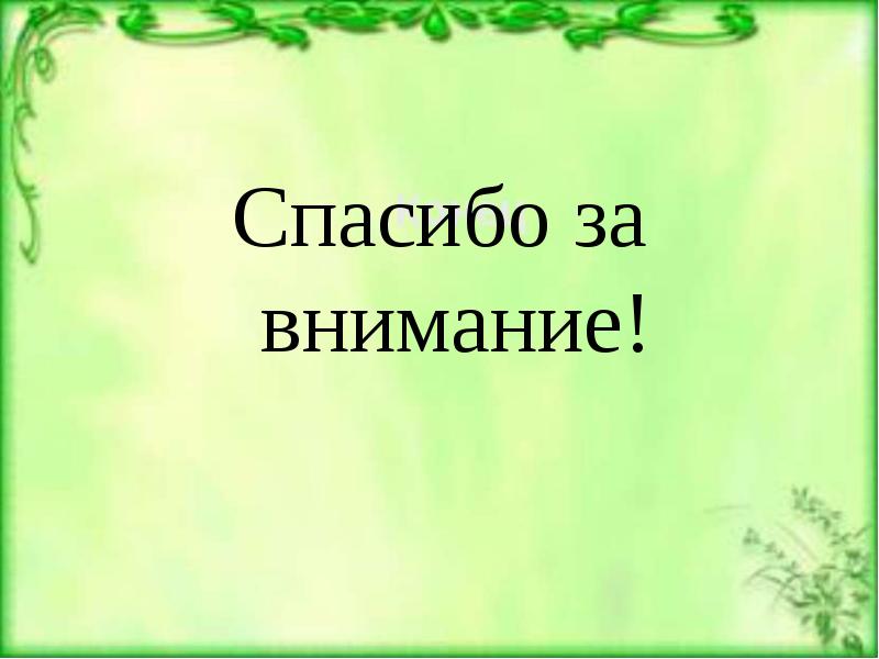 Презентация путешествие по экологической тропе