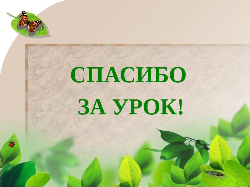 2 класс окружающий мир в гости к весне презентация 2 класс школа россии