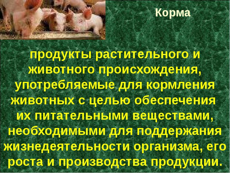 Микотоксикозы презентация микробиология