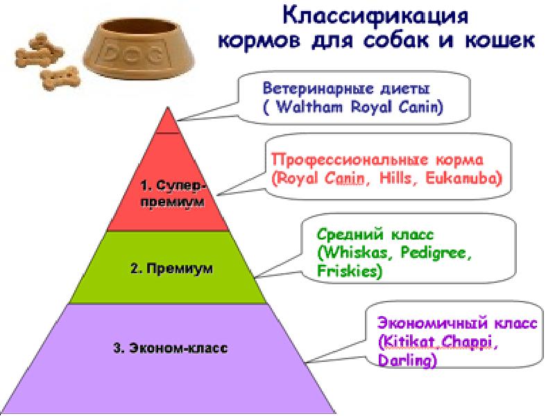 Презентация корма для кошек