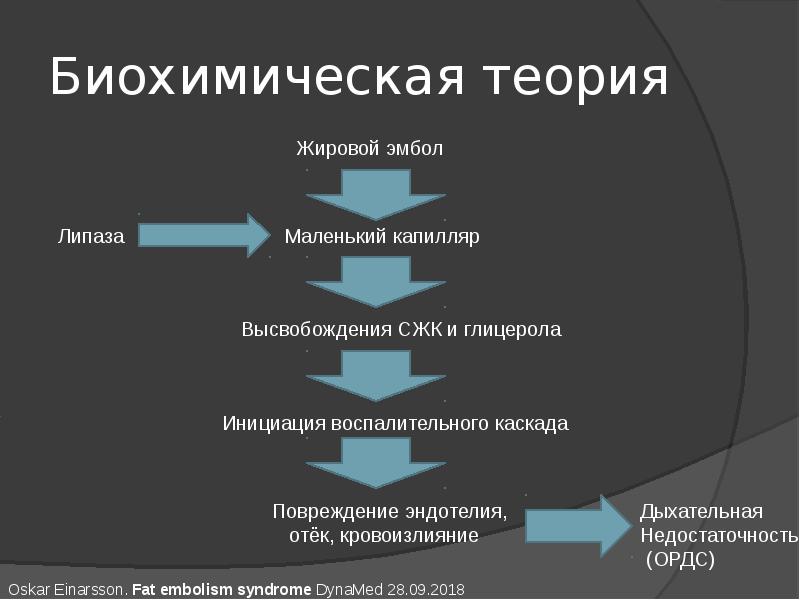 Биохимическая гипотеза рисунок