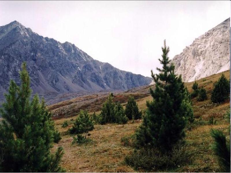 Климат восточной сибири картинки