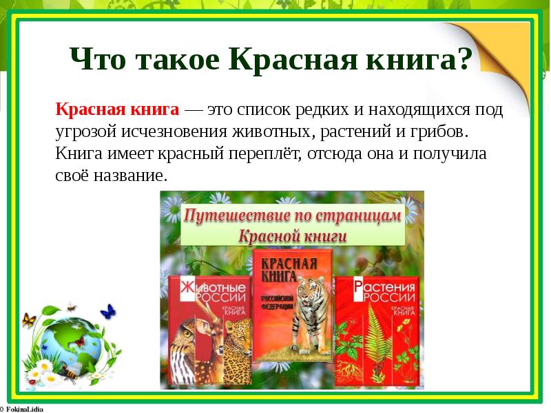 Интернет Магазин Редких Растений