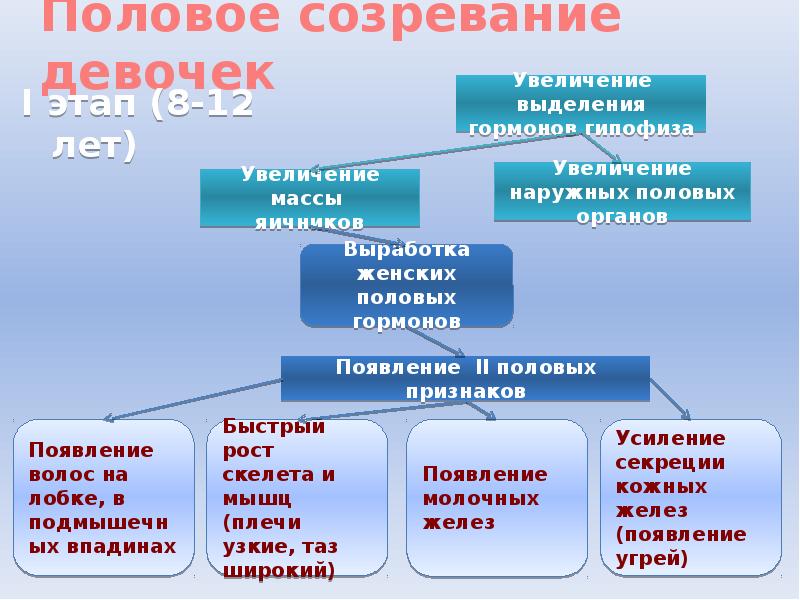 Презентация на тему половое созревание