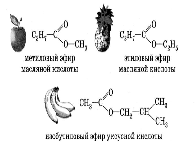 Сложные эфиры презентация