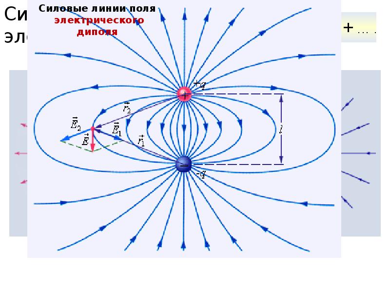 Напряженность поля рисунок. Силовые линии кулоновских полей. Свойства силовых линий электростатического поля. Силовые линии Графическое представление полей. Характеристики силовых линий электростатического поля:.