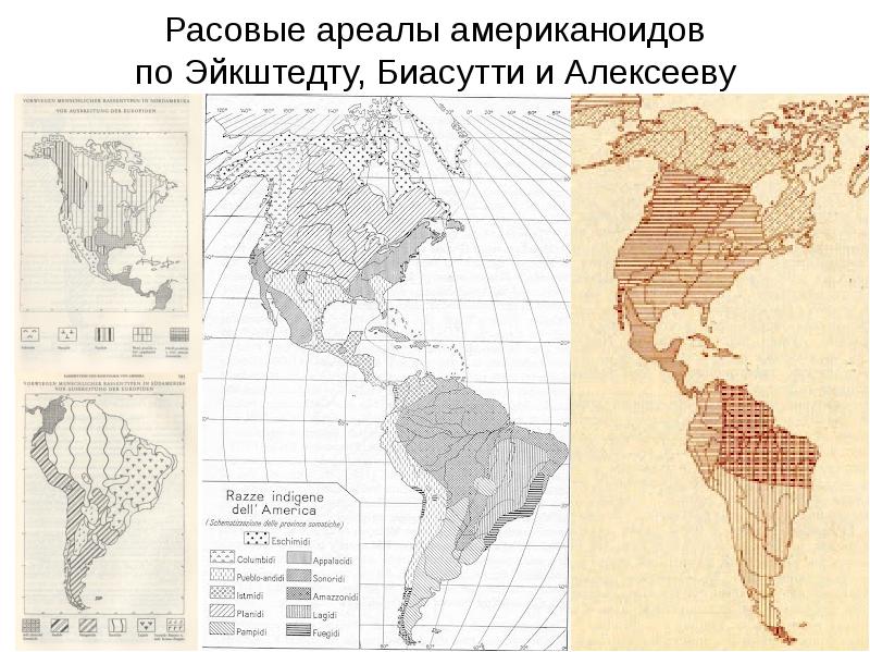 Американоидная раса фото