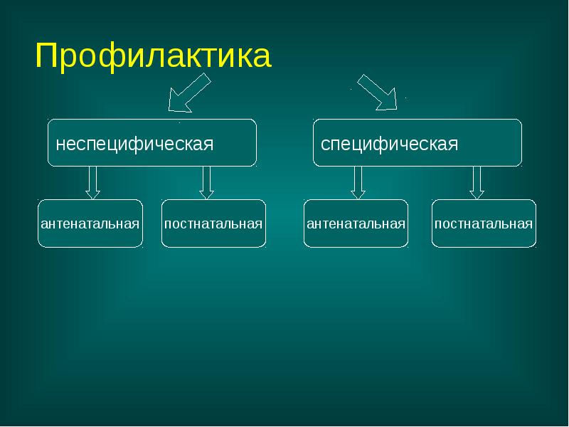Профилактика Профилактика