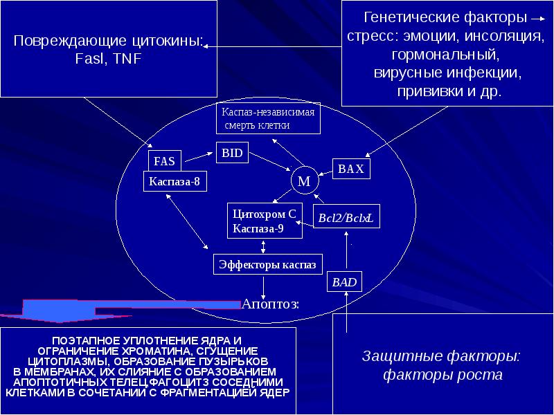 Системные заболевания презентация