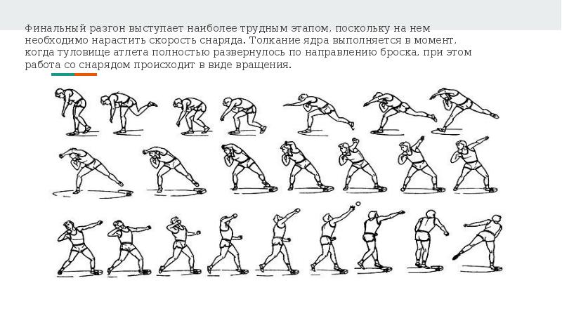 Протокол толкание ядра образец